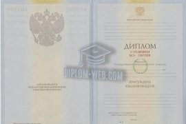 Диплом специалиста с отличием 2009-2011 гг.